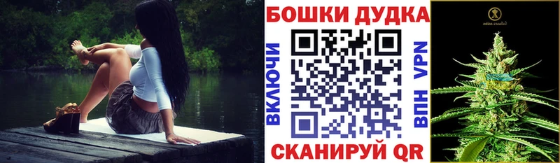 Купить закладку МАРИХУАНА  APVP  Гашиш  Мефедрон  Алексин