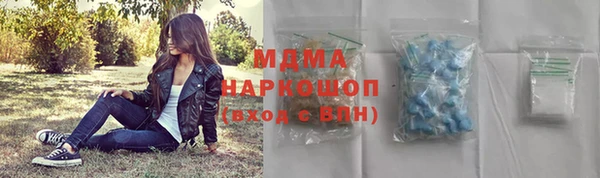 стаф Новозыбков