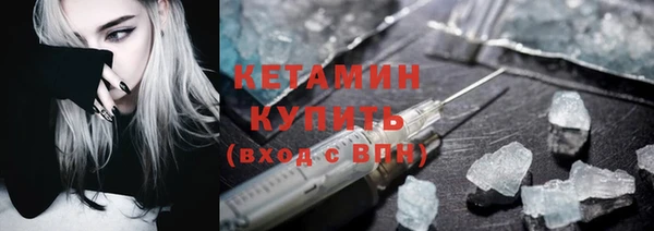 стаф Новозыбков