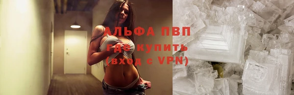 стаф Новозыбков