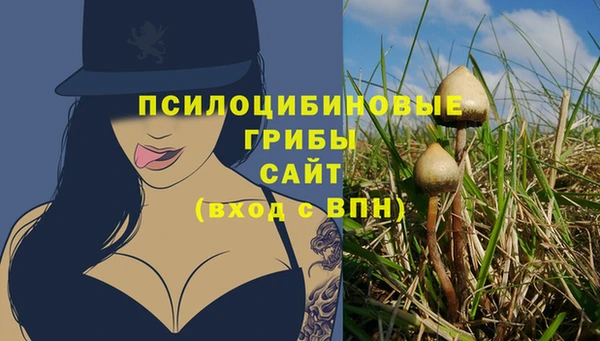 стаф Новозыбков