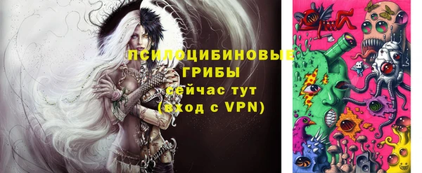 стаф Новозыбков