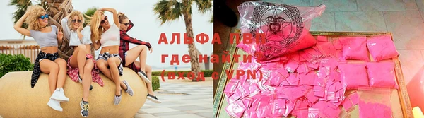 стаф Нефтекумск